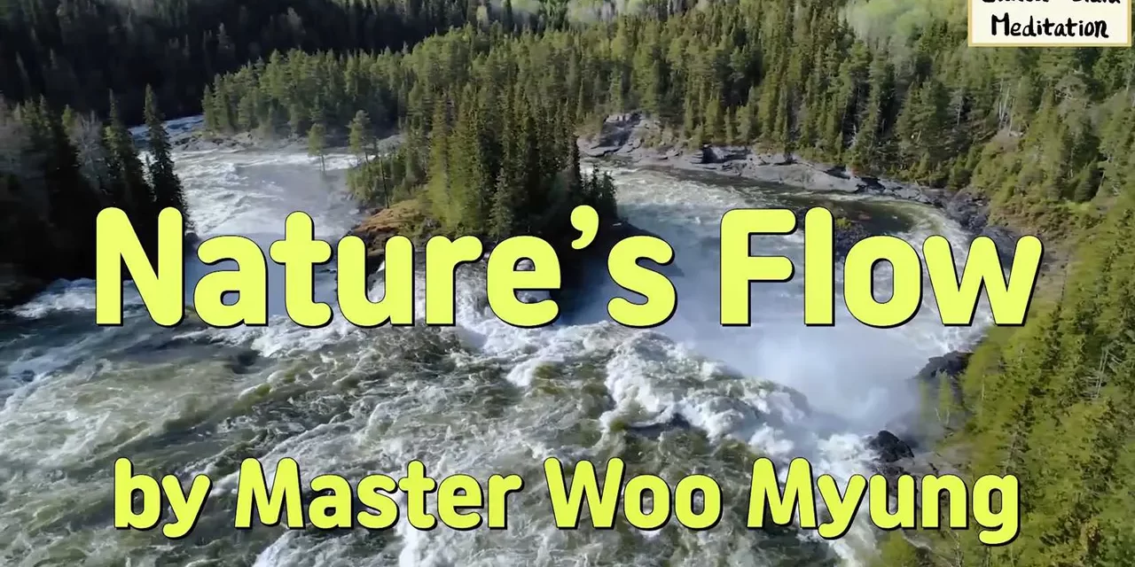 😊 Nature’s Flow | The Enlightened World | Master Woo Myung | Santa Clara Meditation