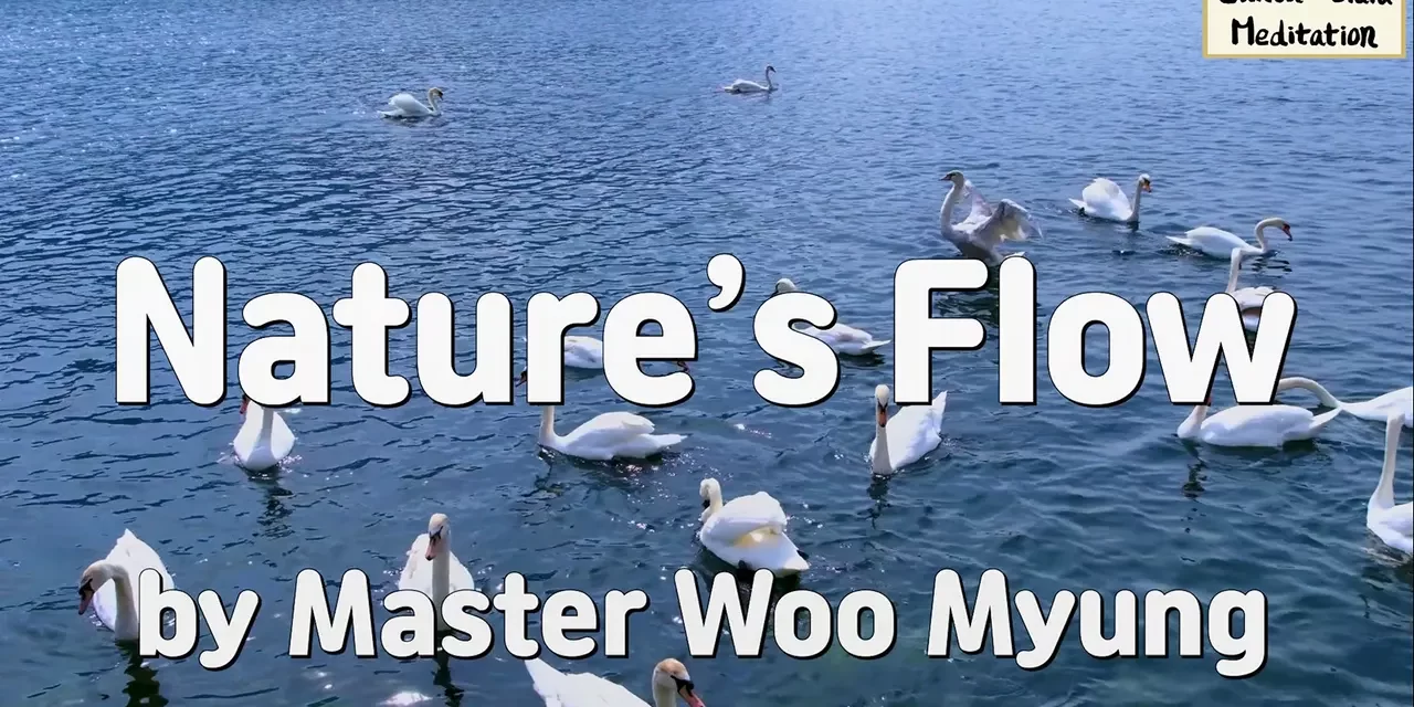 🍃 Nature’s Flow – A Life Without Resistance | Master Woo Myung | Santa Clara Meditation