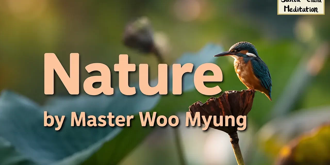 🌳 Nature: The Shapes and Minds of All Things | Master Woo Myung | Santa Clara Meditation