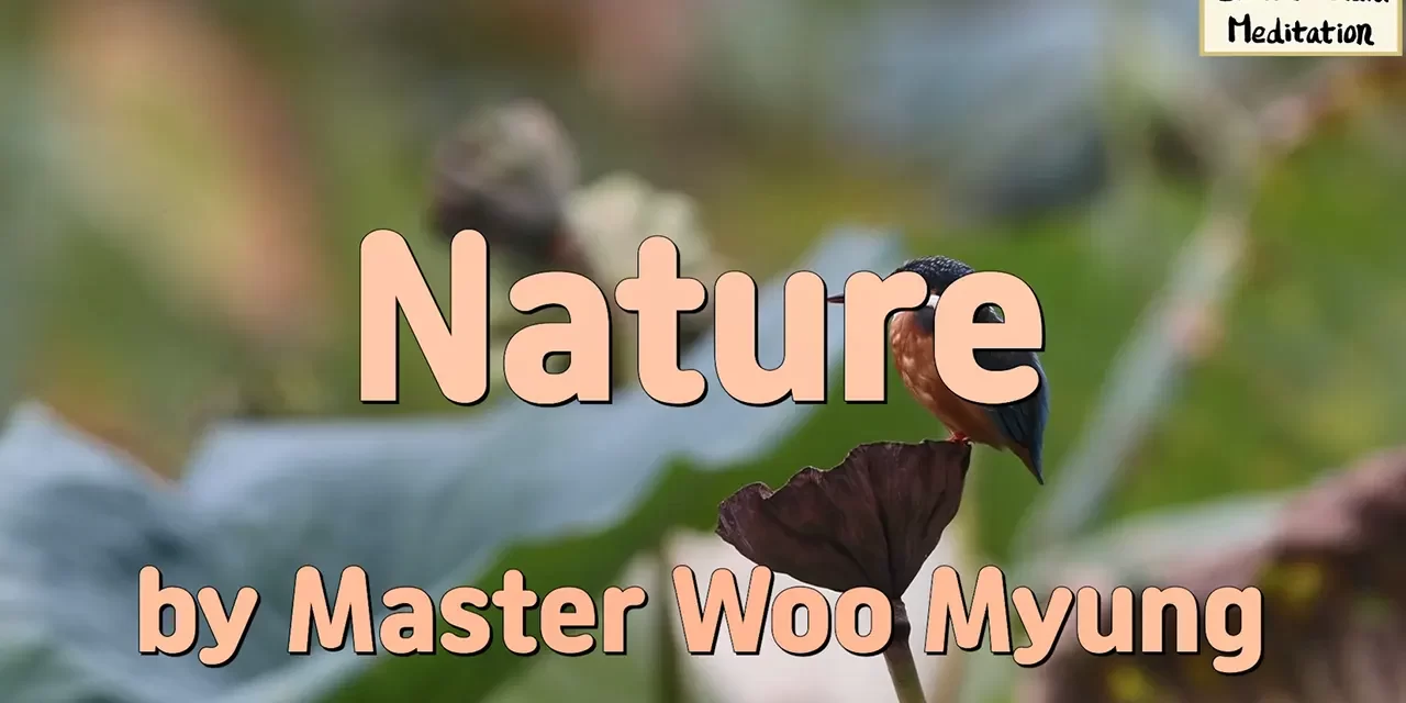 🌳 Nature: The Shapes and Minds of All Things | Master Woo Myung | Santa Clara Meditation