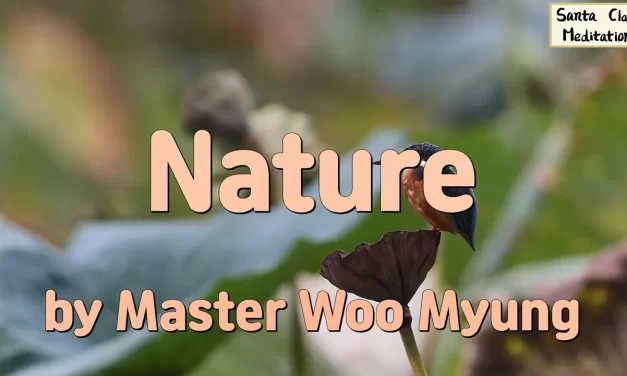 🌳 Nature: The Shapes and Minds of All Things | Master Woo Myung | Santa Clara Meditation