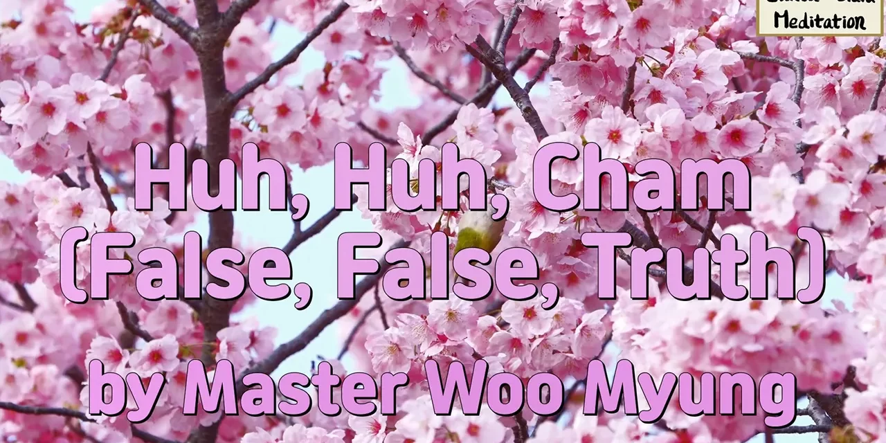 🧘 Huh, Huh, Cham (False, False, Truth) | Master Woo Myung | Santa Clara Meditation