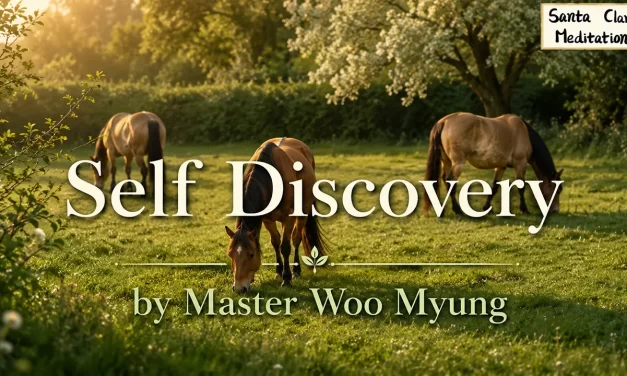 🧭 Self Discovery: Finding the True Way Within | Master Woo Myung | Santa Clara Meditation