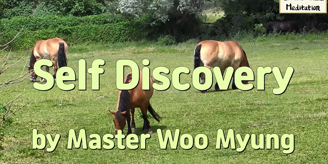 🧭 Self Discovery: Finding the True Way Within | Master Woo Myung | Santa Clara Meditation