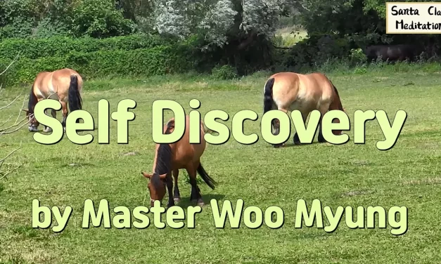 🧭 Self Discovery: Finding the True Way Within | Master Woo Myung | Santa Clara Meditation