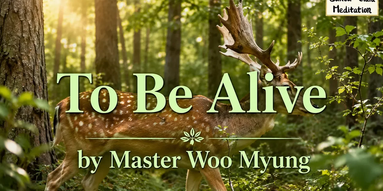 π« To Be Alive: Born in the World of Truth | Master Woo Myung | Santa Clara Meditation