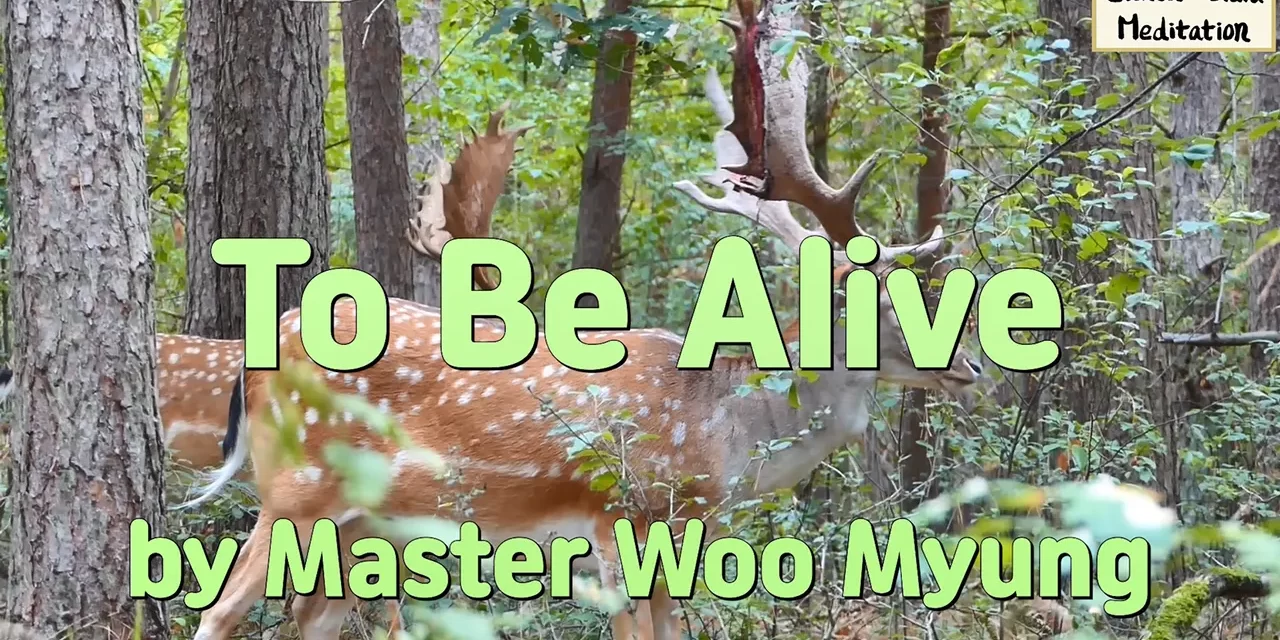 💫 To Be Alive: Born in the World of Truth | Master Woo Myung | Santa Clara Meditation