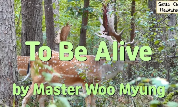 💫 To Be Alive: Born in the World of Truth | Master Woo Myung | Santa Clara Meditation