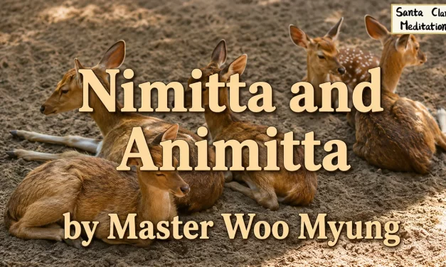 🌟 Nimitta and Animitta | Master Woo Myung | Santa Clara Meditation