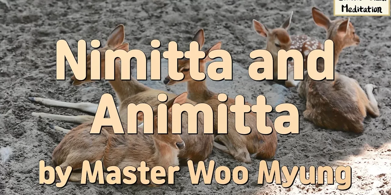 🌟 Nimitta and Animitta | Master Woo Myung | Santa Clara Meditation