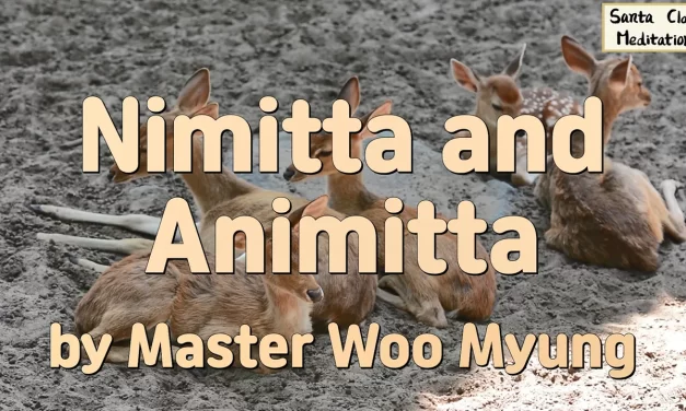 🌟 Nimitta and Animitta | Master Woo Myung | Santa Clara Meditation