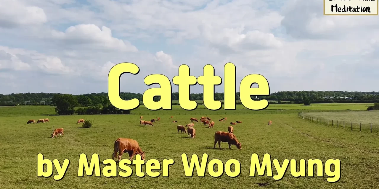 🌈 Cattle: the Search for Truth | Master Woo Myung | Santa Clara Meditation