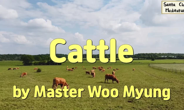 🌈 Cattle: the Search for Truth | Master Woo Myung | Santa Clara Meditation