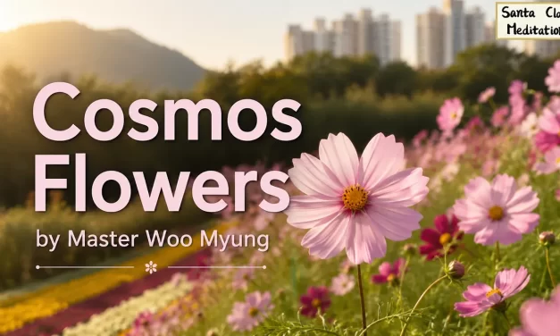 🌸 Cosmos Flowers: Strength in Fragility | Master Woo Myung | Santa Clara Meditation