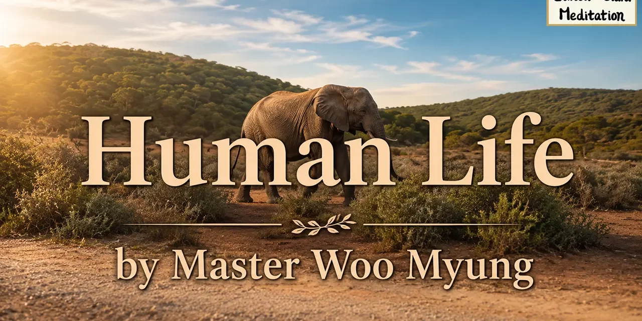 π€οΈ Human Life: the Way to Heaven | Master Woo Myung | Santa Clara Meditation