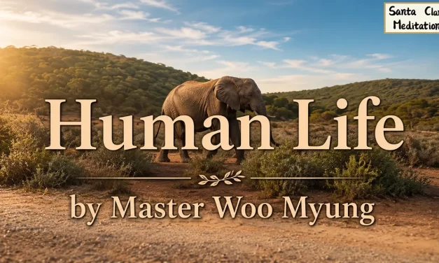 🌤️ Human Life: the Way to Heaven | Master Woo Myung | Santa Clara Meditation