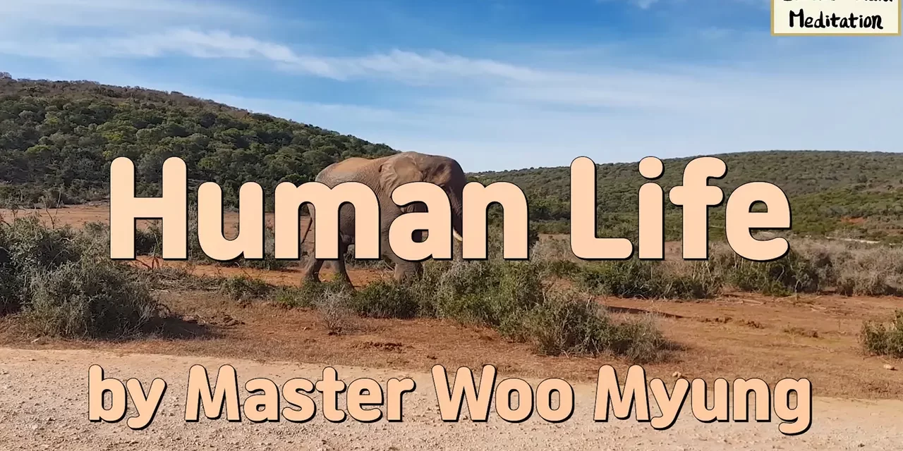 🌤️ Human Life: the Way to Heaven | Master Woo Myung | Santa Clara Meditation