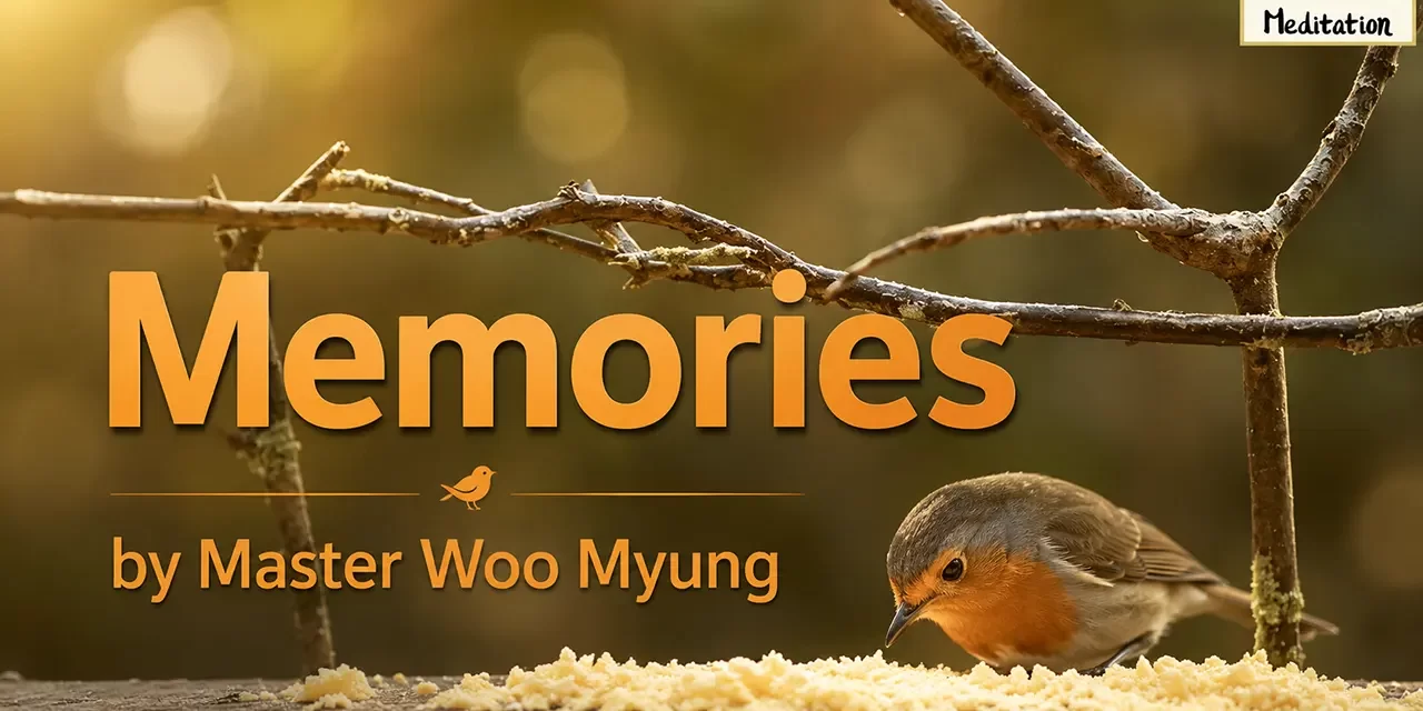 🕯️ Memories: Letting Go of the Past | Master Woo Myung | Santa Clara Meditation