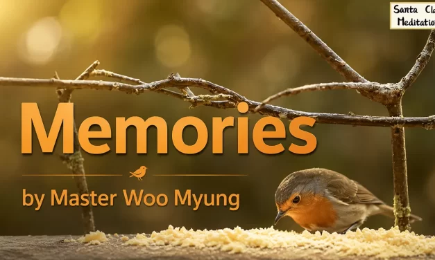 🕯️ Memories: Letting Go of the Past | Master Woo Myung | Santa Clara Meditation