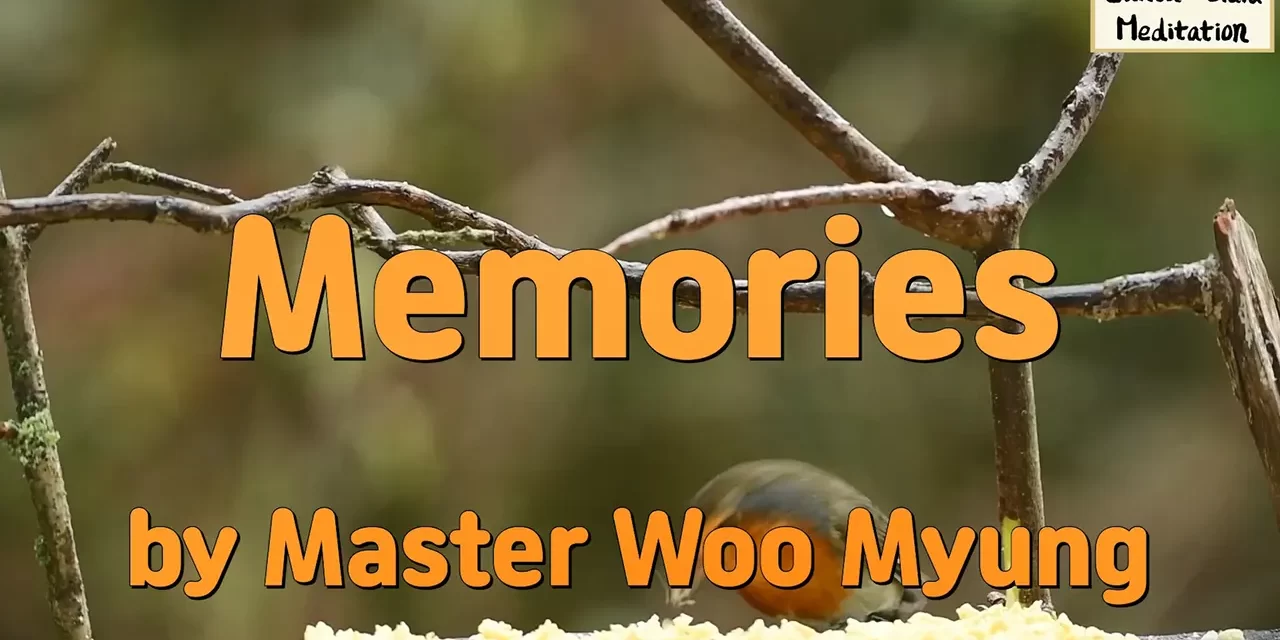 🕯️ Memories: Letting Go of the Past | Master Woo Myung | Santa Clara Meditation
