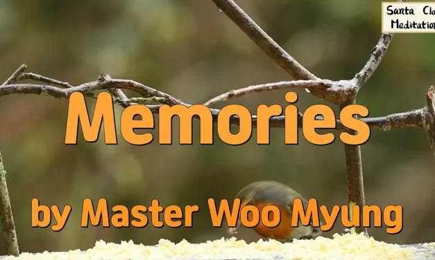 🕯️ Memories: Letting Go of the Past | Master Woo Myung | Santa Clara Meditation