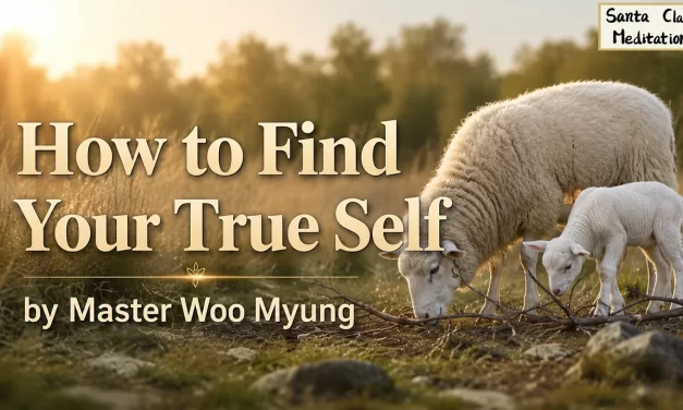 🌻 How to Find Your True Self – Master Woo Myung | Santa Clara Meditation