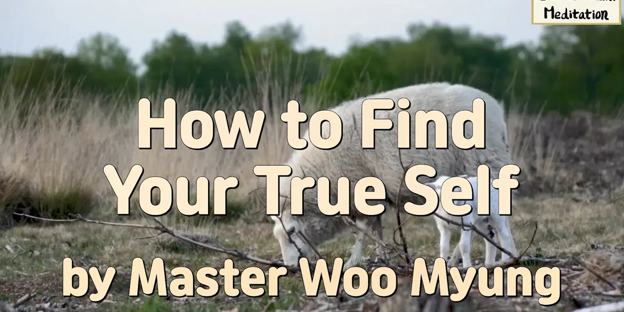 🌻 How to Find Your True Self – Master Woo Myung | Santa Clara Meditation