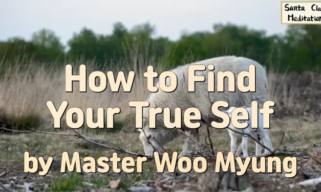 🌻 How to Find Your True Self – Master Woo Myung | Santa Clara Meditation