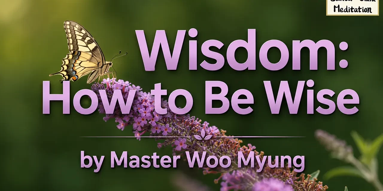 💭💡 Wisdom: How to Be Wise – Teaching of Truth by Master Woo Myung | Santa Clara Meditation