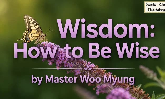 💭💡 Wisdom: How to Be Wise – Teaching of Truth by Master Woo Myung | Santa Clara Meditation