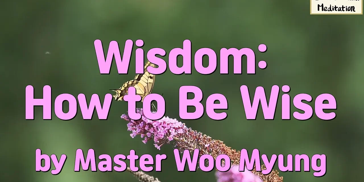 💭💡 Wisdom: How to Be Wise – Teaching of Truth by Master Woo Myung | Santa Clara Meditation