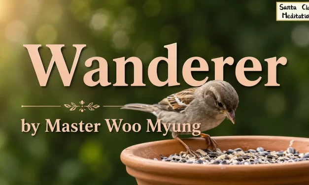 🌬️ Wanderer: A Life Outside the World | Master Woo Myung | Santa Clara Meditation