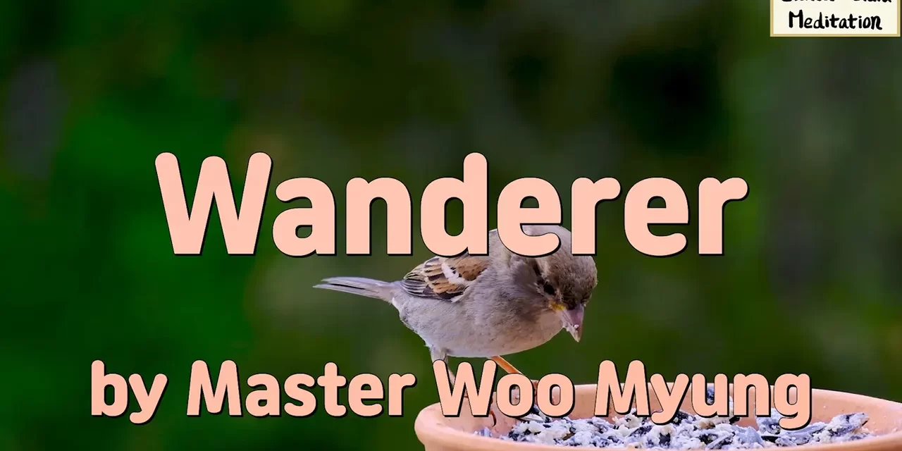 🌬️ Wanderer: A Life Outside the World | Master Woo Myung | Santa Clara Meditation