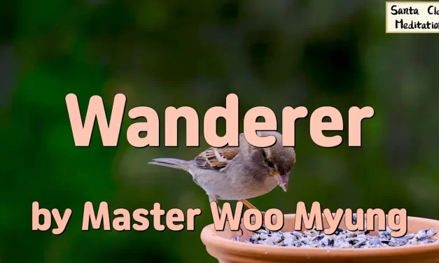 🌬️ Wanderer: A Life Outside the World | Master Woo Myung | Santa Clara Meditation