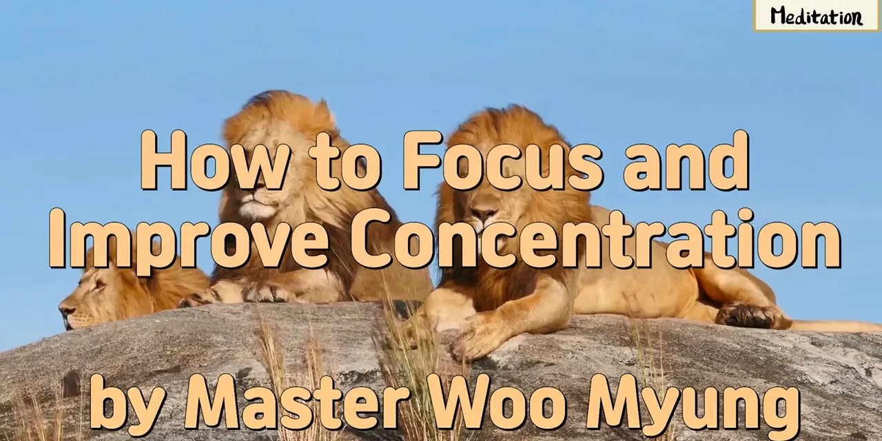 🎯 How to Focus and Improve Concentration | Master Woo Myung | Santa Clara Meditation