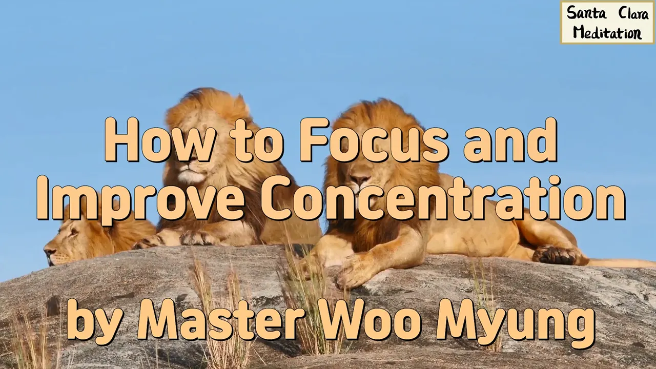 How to Focus and Improve Concentration