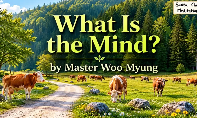 🧘🧩 What Is the Mind? – Wisdom Quote by Master Woo Myung | Santa Clara Meditation