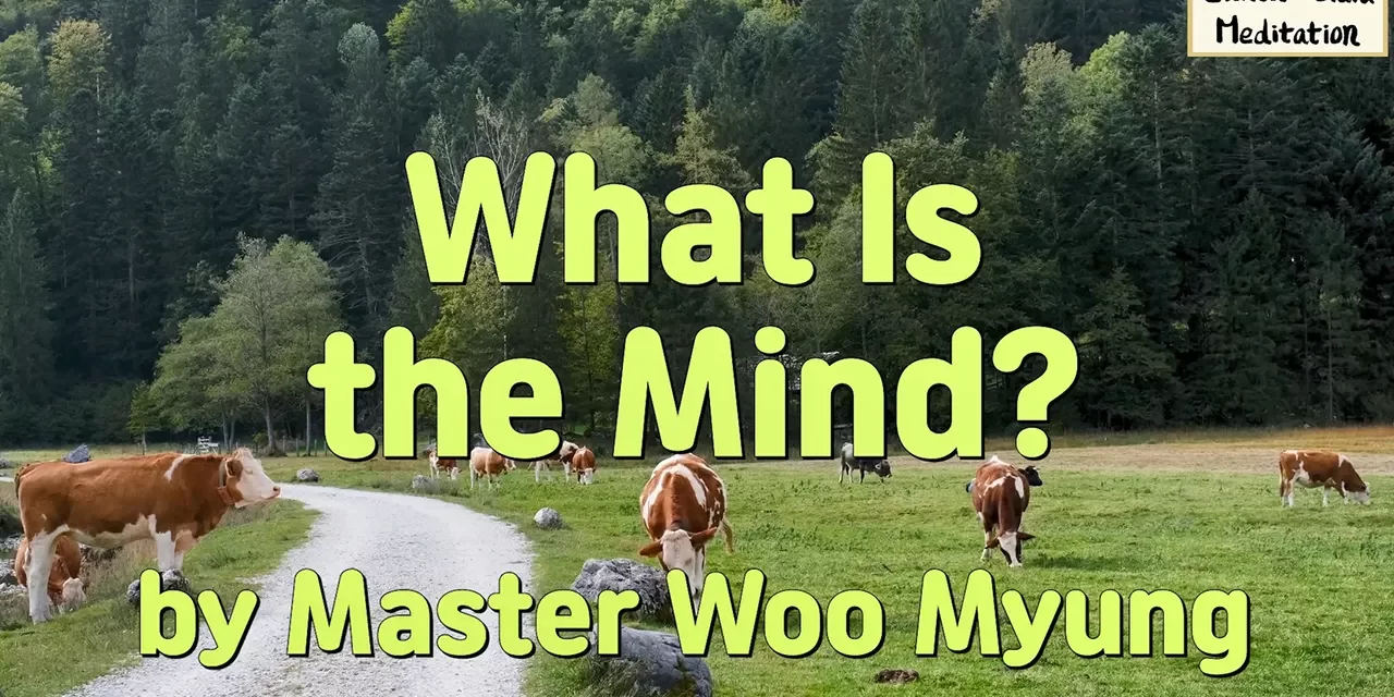 🧘🧩 What Is the Mind? – Wisdom Quote by Master Woo Myung | Santa Clara Meditation