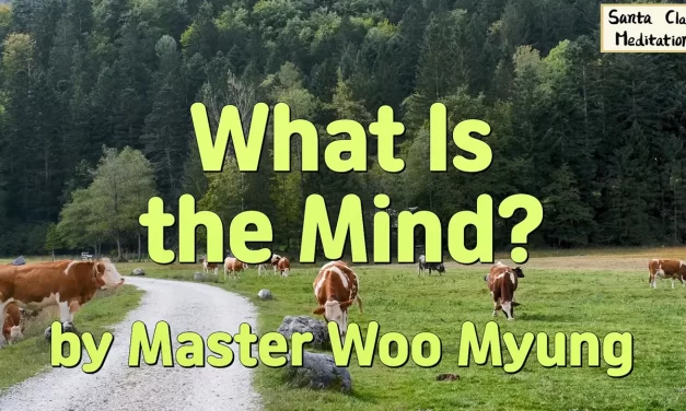 🧘🧩 What Is the Mind? – Wisdom Quote by Master Woo Myung | Santa Clara Meditation