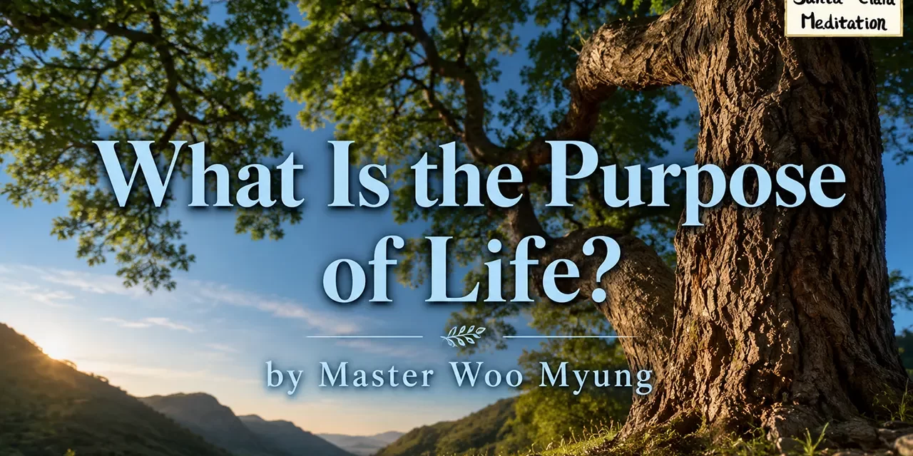 🌱 What Is the Purpose of Life?: Live Eternally as Truth | Master Woo Myung | Santa Clara Meditation