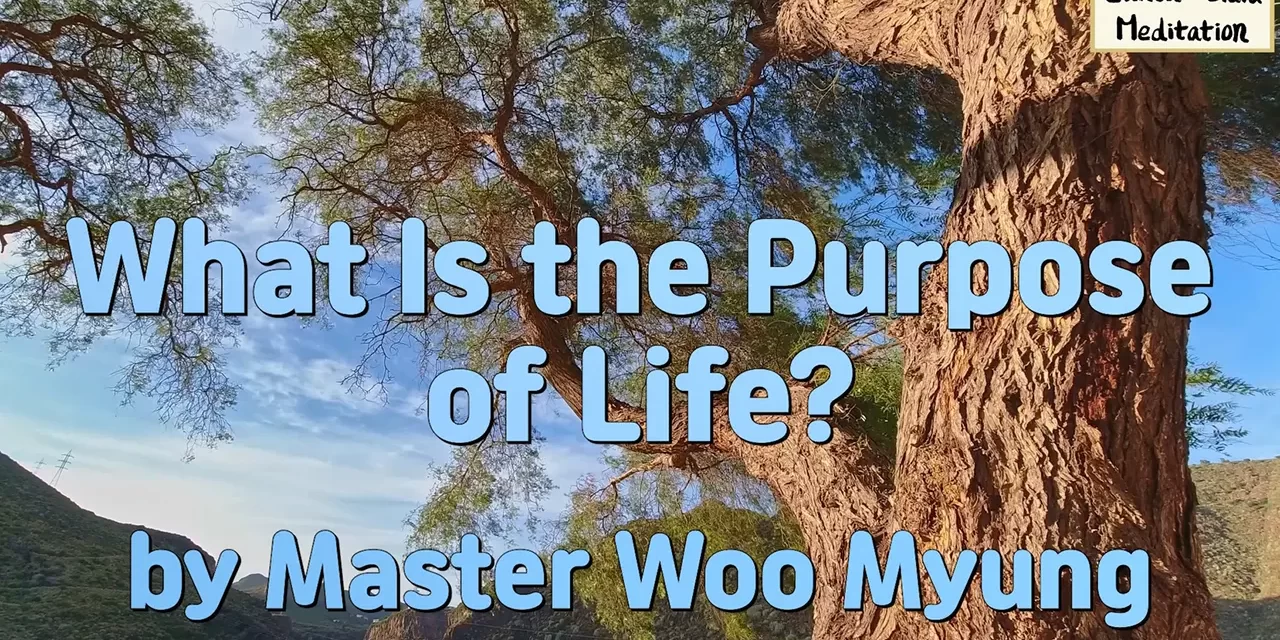 🌱 What Is the Purpose of Life?: Live Eternally as Truth | Master Woo Myung | Santa Clara Meditation