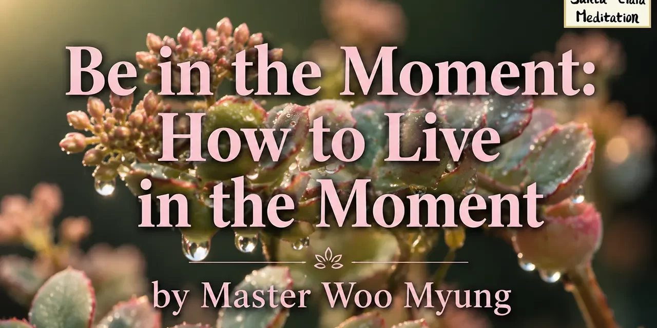 ⏳ Be in the Moment – How to Truly Live Now | Master Woo Myung | Santa Clara Meditation