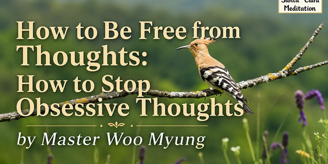 🧘 How to Be Free from Thoughts – Let Go of the Root Mind | Master Woo Myung | Santa Clara Meditation