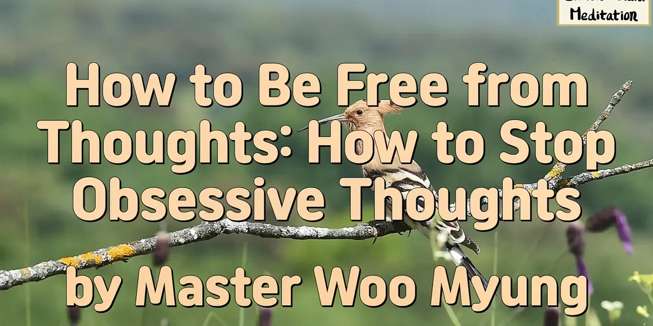 🧘 How to Be Free from Thoughts – Let Go of the Root Mind | Master Woo Myung | Santa Clara Meditation