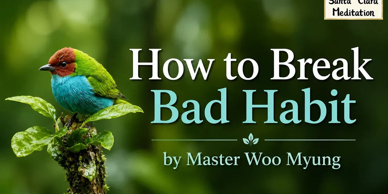 π· How to Break Bad Habit: Discard the Root of Those Habits | Master Woo Myung | Santa Clara Meditation