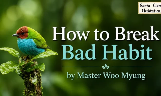 🌷 How to Break Bad Habit: Discard the Root of Those Habits | Master Woo Myung | Santa Clara Meditation