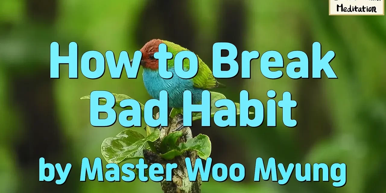 🌷 How to Break Bad Habit: Discard the Root of Those Habits | Master Woo Myung | Santa Clara Meditation