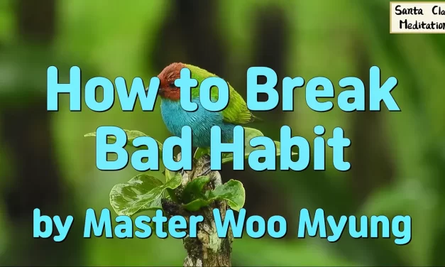 🌷 How to Break Bad Habit: Discard the Root of Those Habits | Master Woo Myung | Santa Clara Meditation