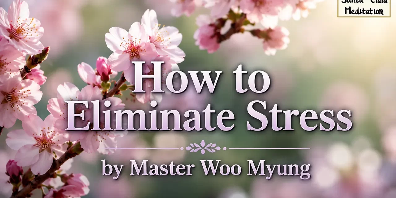 🧘‍♂️ How to Eliminate Stress | Master Woo Myung | Santa Clara Meditation