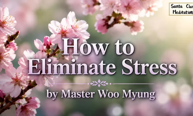 🧘‍♂️ How to Eliminate Stress | Master Woo Myung | Santa Clara Meditation